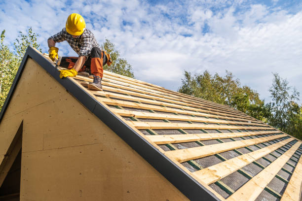 Best Gutter Installation and Roofing  in Ashford, AL
